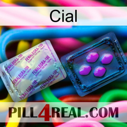 Cial 37